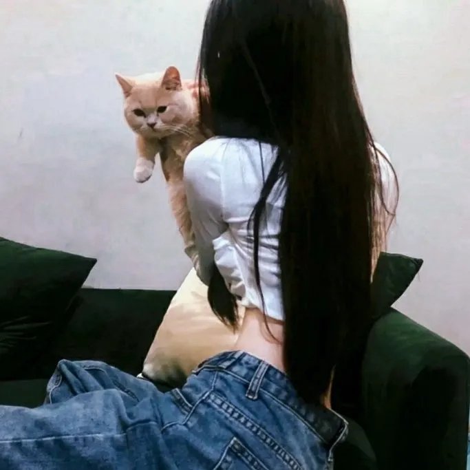 家有艳妻