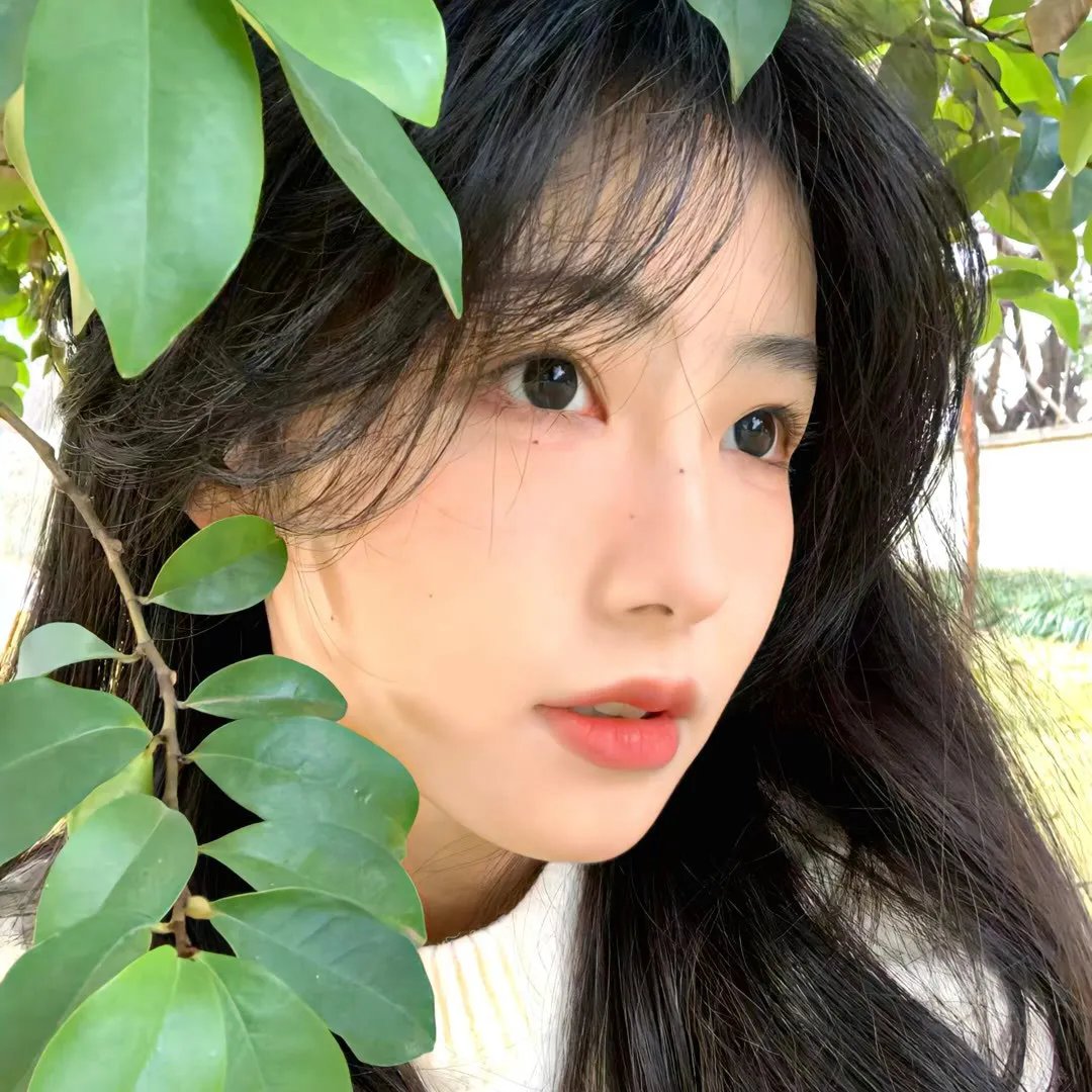 偶像必须单身